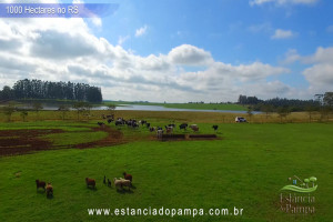 VB 4.00_03_23_00.Quadro047_0bb9aa1ae9438c2041a2e29141b81e82de4788e6.jpg